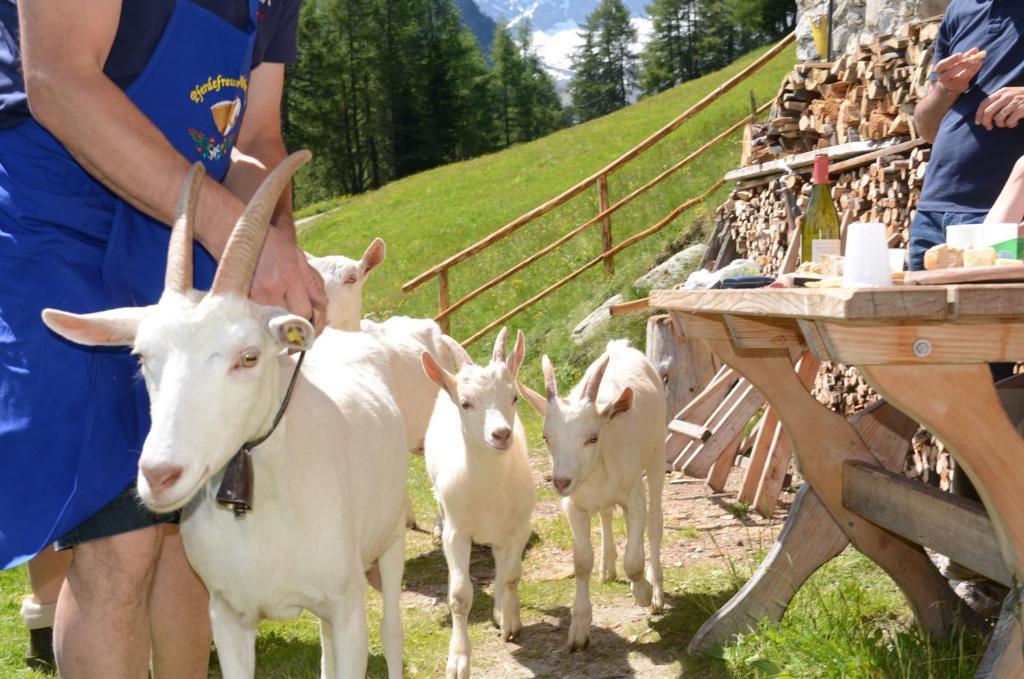 Hotel Bacher Rein in Taufers Exterior foto